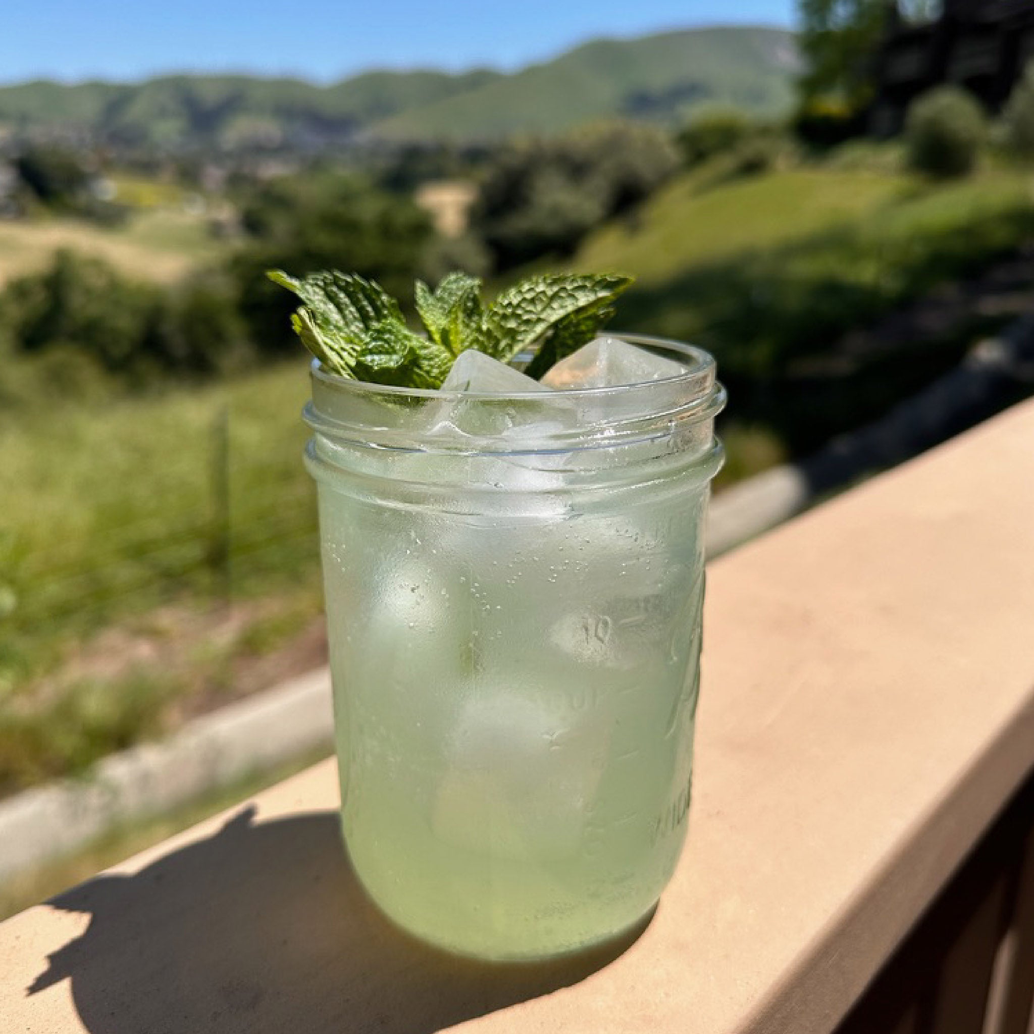 A mason jar of Cucumber Mint Sparkling Elixir, over ice with a fresh herb garnish, sitting on a wooden railing against a green landscape.