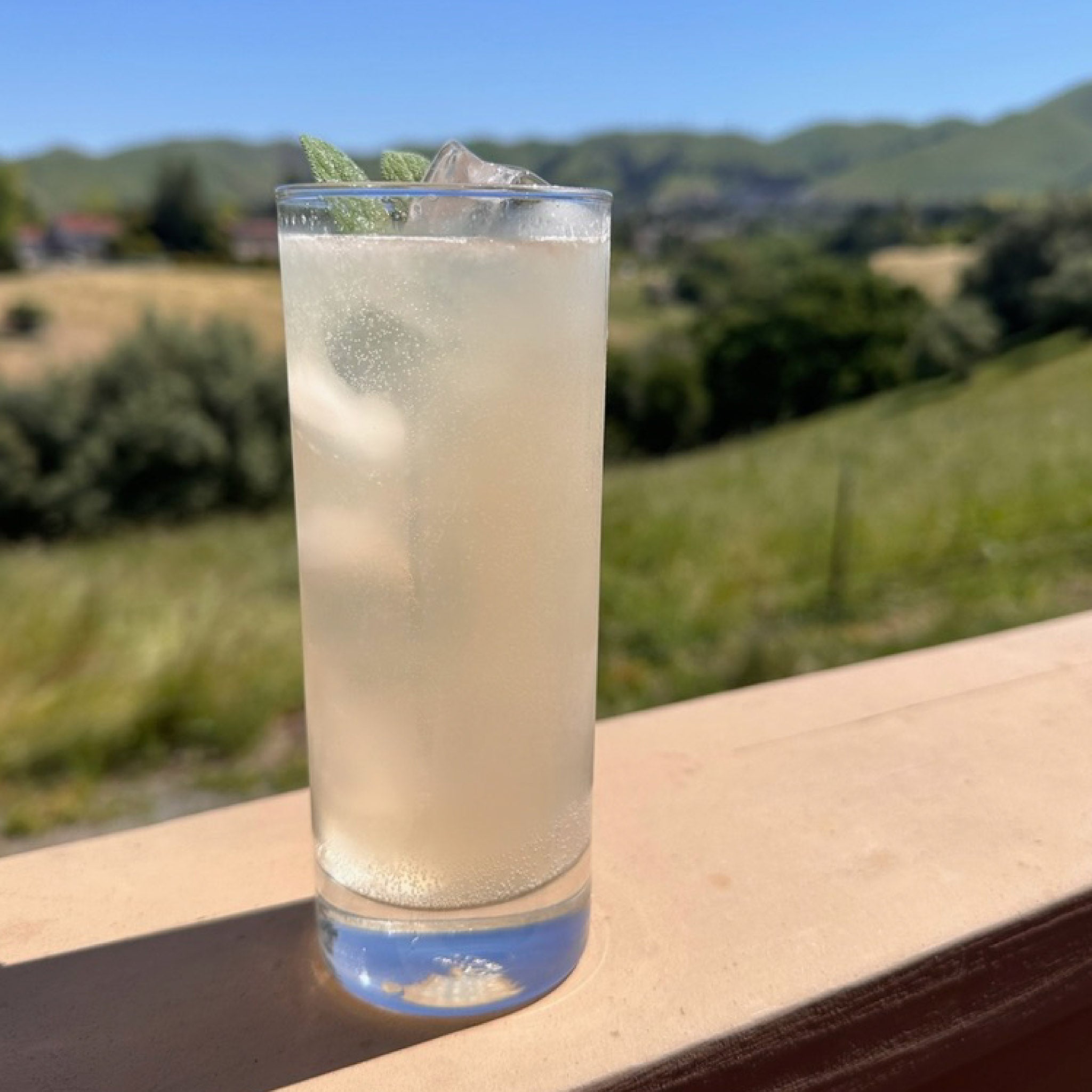 A glass of Ginger Lemon Sparkling Elixir, over ice with a fresh herb garnish, sitting on a wooden railing against a green landscape.