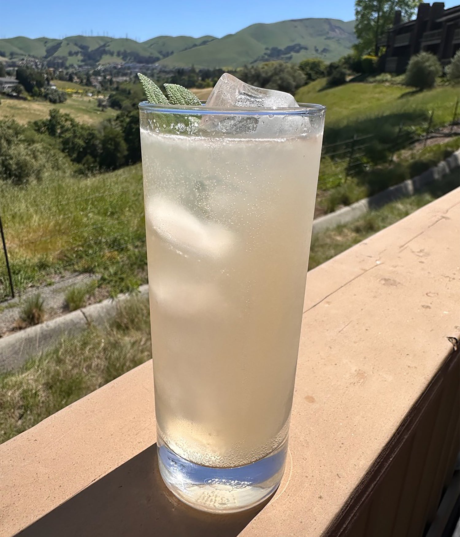 A glass of Ginger Lemon Sparkling Elixir, over ice with a fresh herb garnish, sitting on a wooden railing against a green landscape.